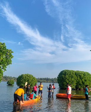 Mangrove Forest, Kavvayi